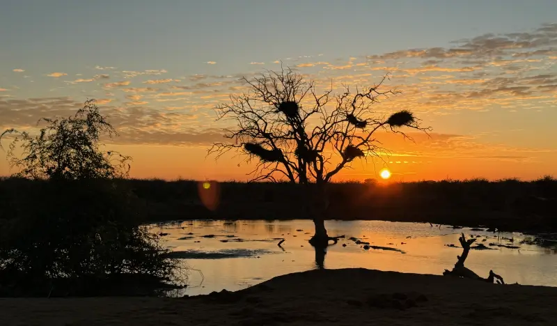 On Safari at Impodimo game reserve South Africa